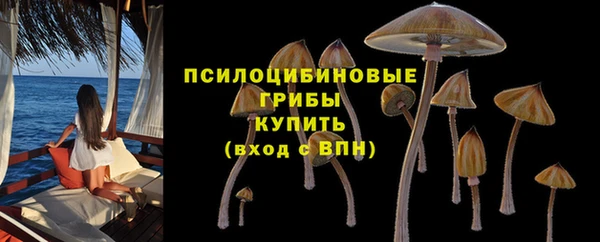 ПСИЛОЦИБИНОВЫЕ ГРИБЫ Дмитровск